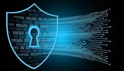 信息時(shí)代，維護(hù)網(wǎng)絡(luò)安全刻不容緩 聚焦網(wǎng)絡(luò)與信息安全軟件開發(fā)