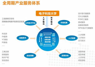 科技賦能，精益運營 電子科大科技園晉級國家級孵化器的實踐與啟示